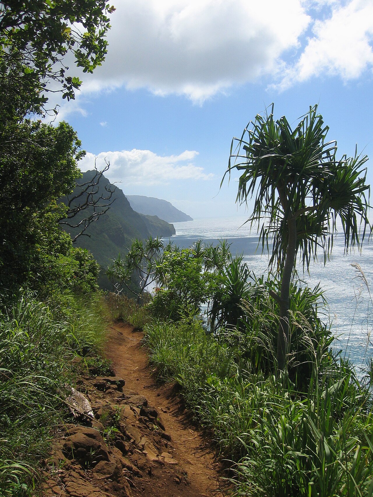 Kalalau Trail 前 2 英里往返