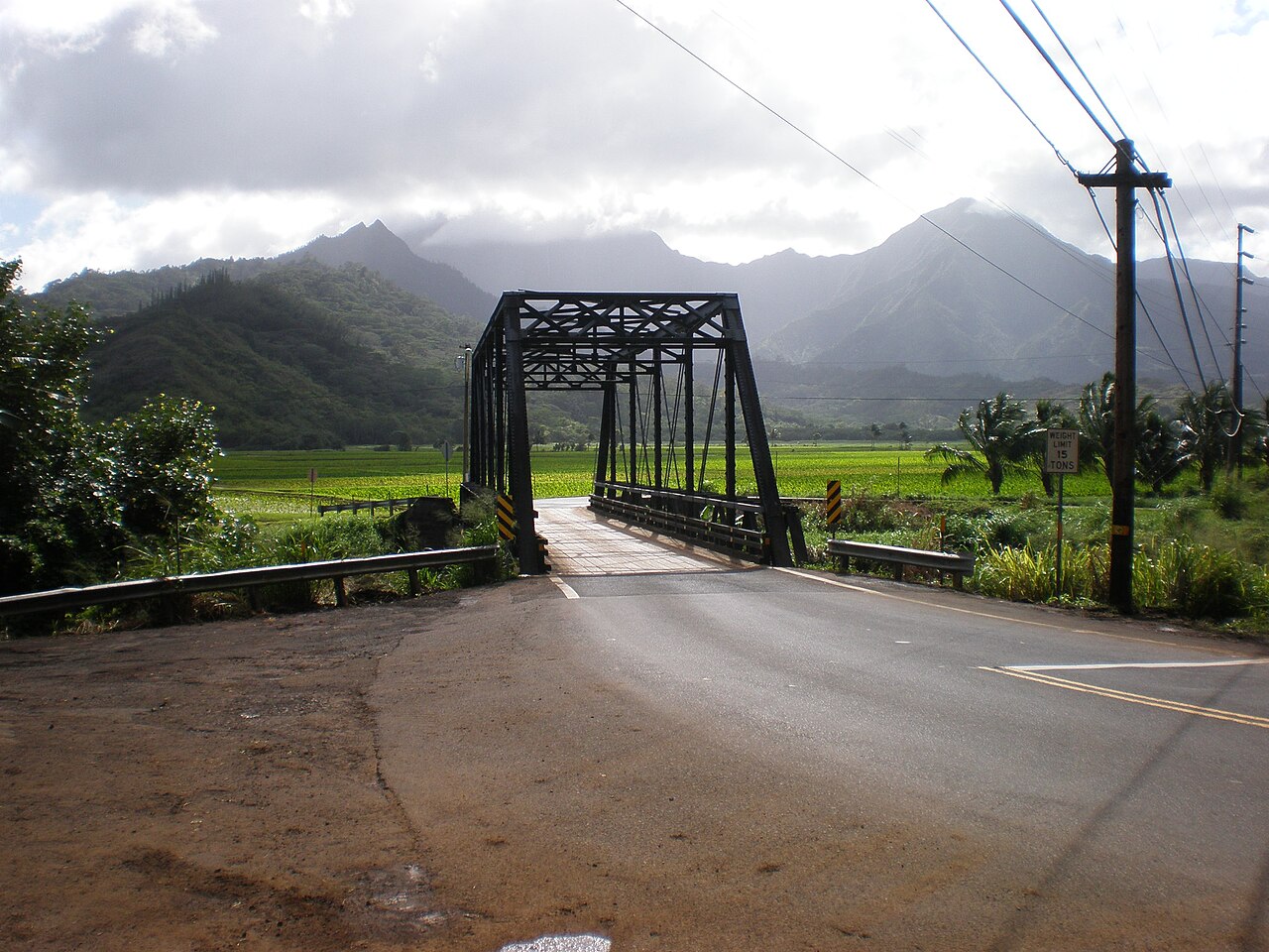 Hanalei Town