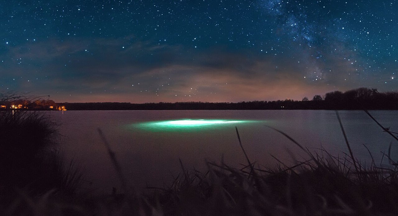 Night Dive